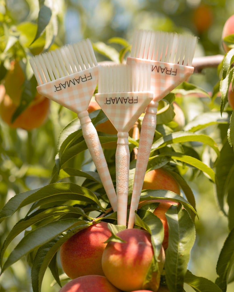 Peach Please 3PC Big Daddy brush set