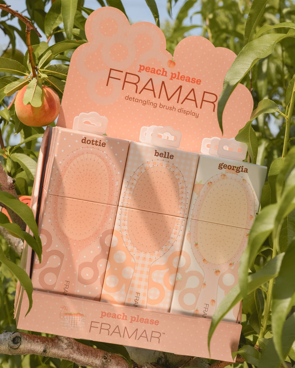 Peach Please - 9PC Detangle Brush Display
