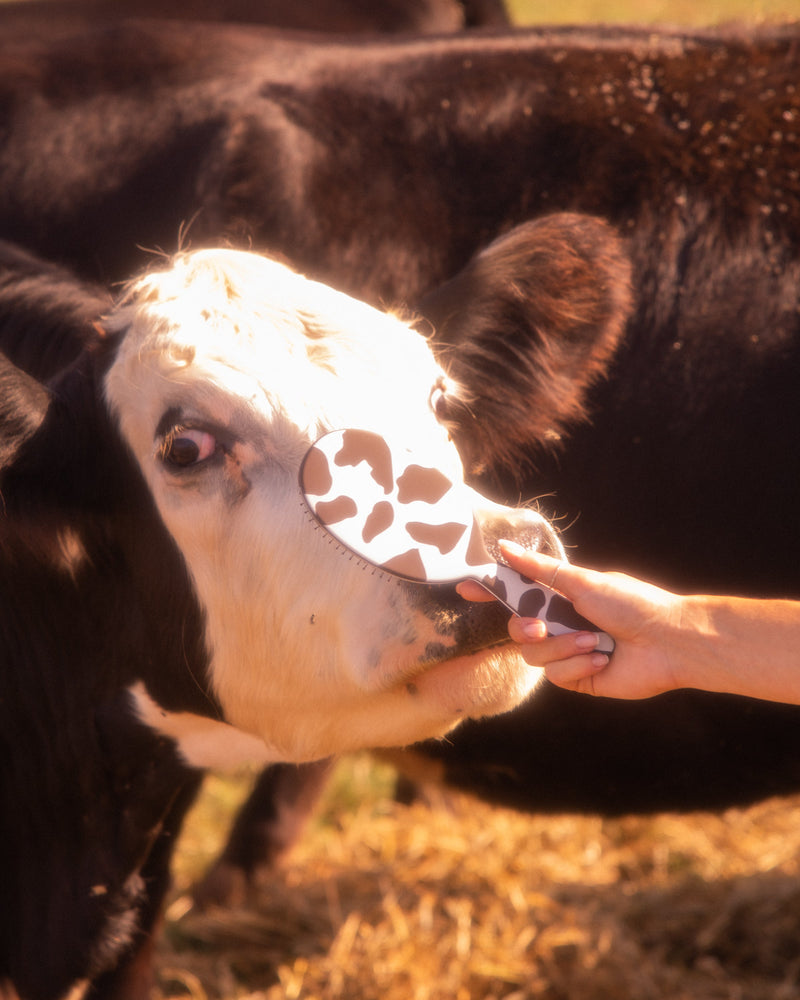 Yeehaw - Detangle Brush