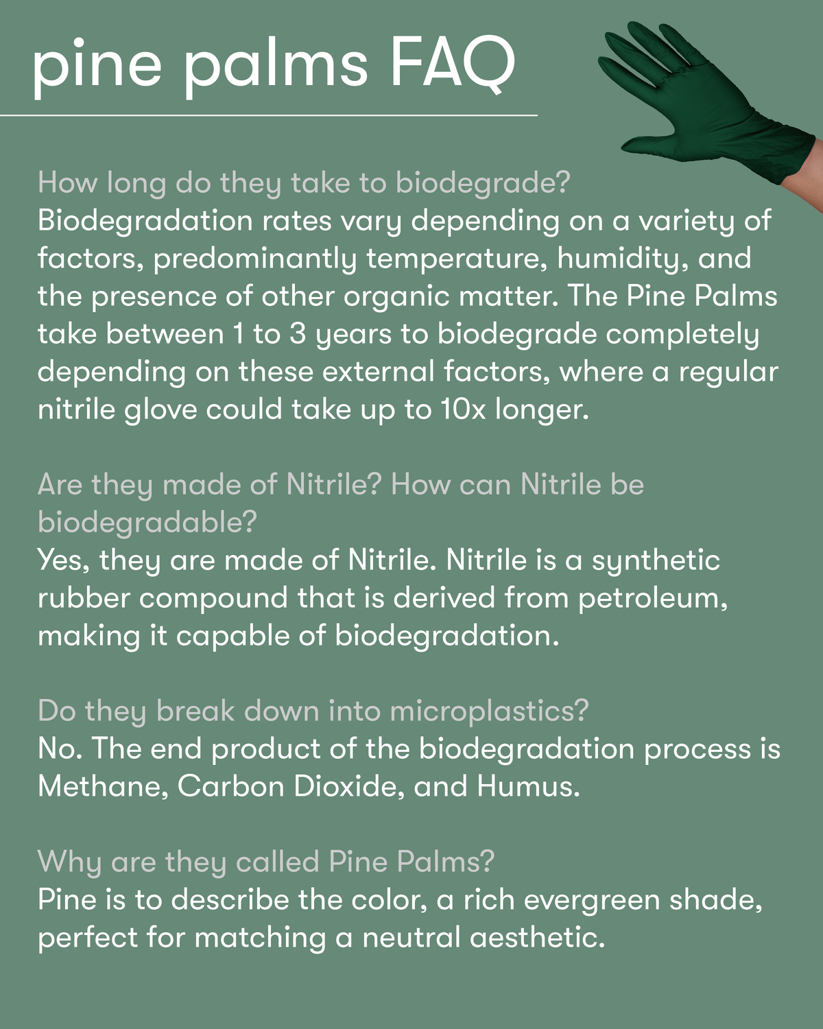 Pine Palms Biodegradable Nitrile Gloves - 100 count